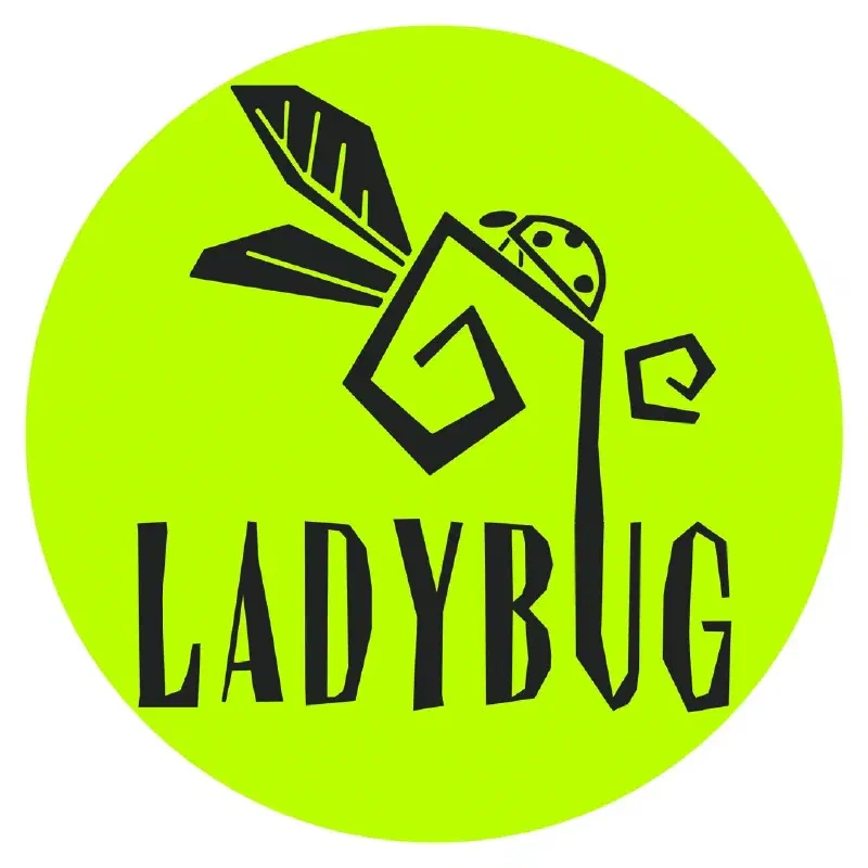 Ladybug Kombucha