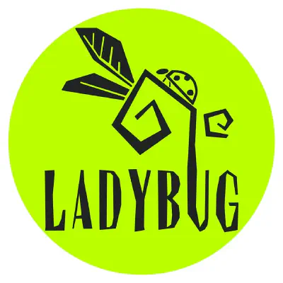 Ladybug Kombucha